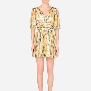 Dolce & Gabbana Short Pleated Tulle Dress with Camellia Print In Floral …